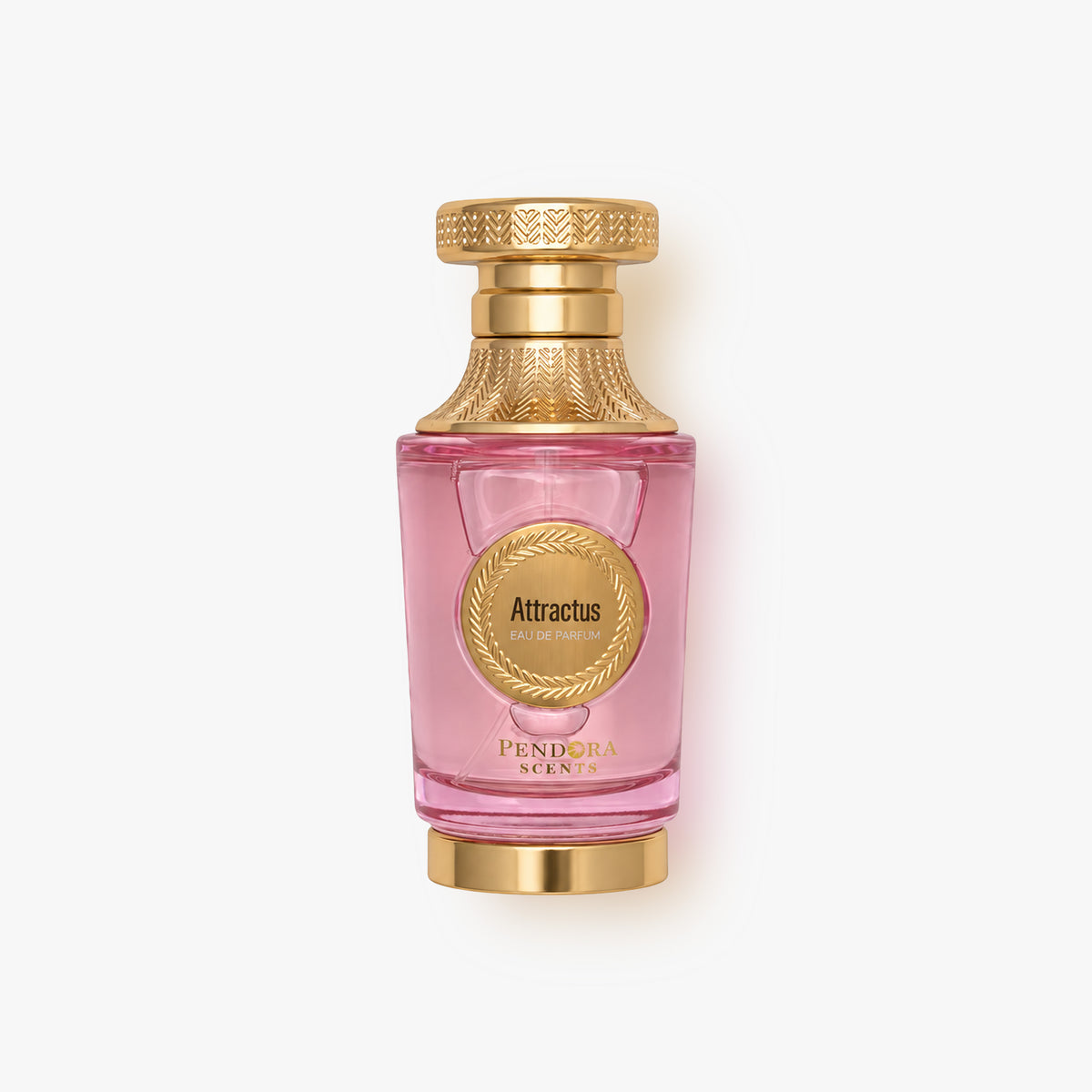 Attractus 100 ml